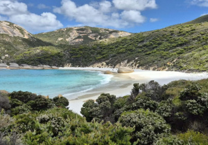 Pozdrowienia dla SP nr 46 w Łodzi prosto z Australii.