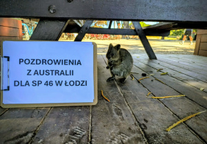Pozdrowienia dla SP nr 46 w Łodzi prosto z Australii.