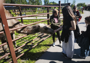 Wycieczka klas: 4a i 5b do Dobronianki_zwiedzanie zoo.
