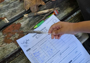 Klasa 3b i projekt "Leśna matematyka"_zajęcia w parku.