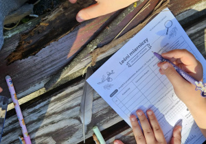 Klasa 3b i projekt "Leśna matematyka"_zajęcia w parku.