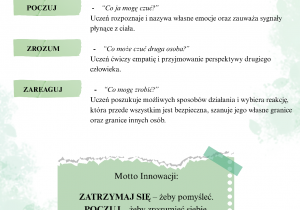 Innowacja "Zatrzymaj się!..."_główna idea innowacji w skrócie.