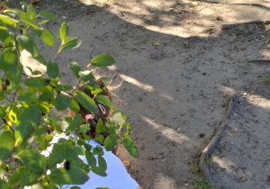 33. Akcja Sprzątania Świata – „SOS dla wody”.