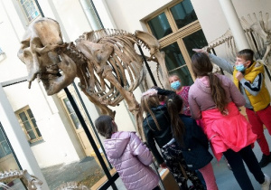 Kasa 3a ogląda eksponaty w Muzeum Przyrodniczym.