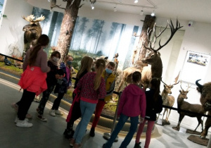 Kasa 3a ogląda eksponaty w Muzeum Przyrodniczym.