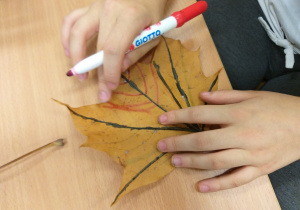 Proces twórczy ucznia klasy 4a - malowanie liści.