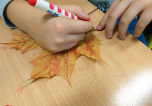 Proces twórczy ucznia klasy 4a - malowanie liści.
